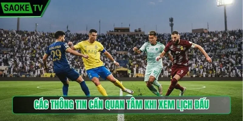 Các thông tin cần quan tâm khi xem lịch đấu
