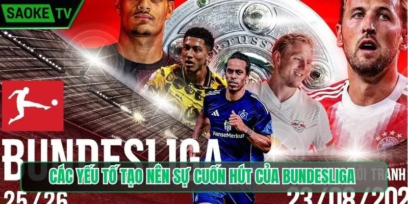 Các yếu tố tạo nên sự cuốn hút của Bundesliga