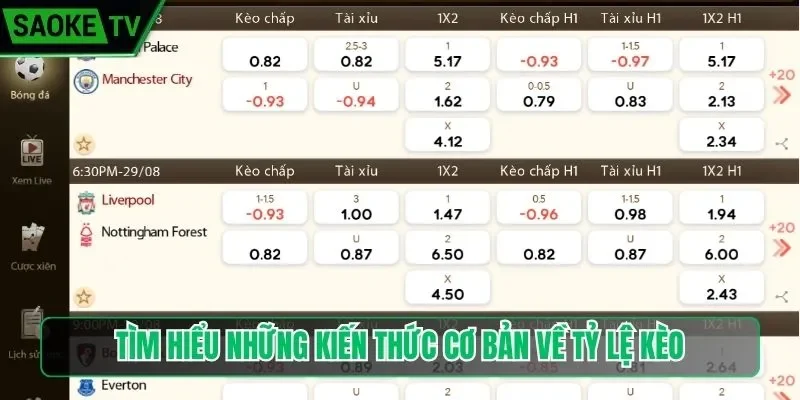 Tìm hiểu những kiến thức cơ bản về tỷ lệ kèo